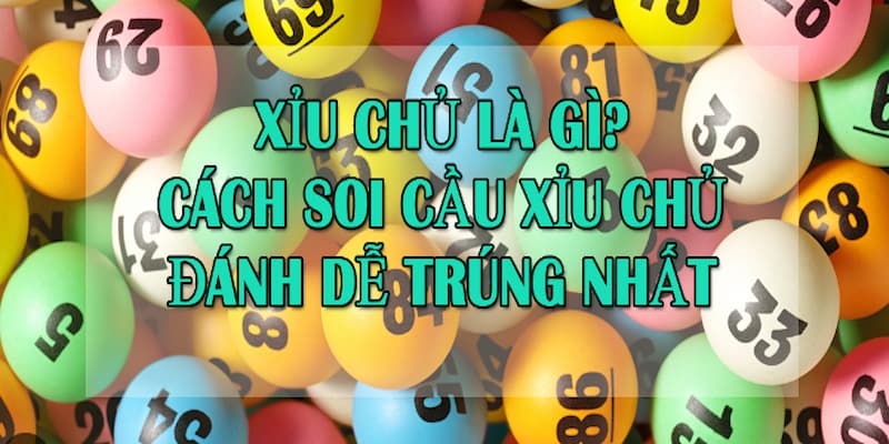 Kinh nghiệm về xỉu chủ là gì, người chơi có thể tham khảo phần trên